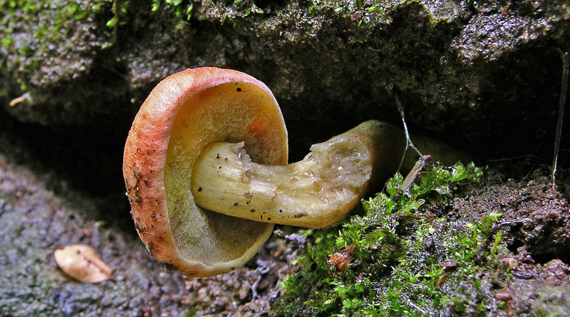 Risposte griglia 2 (marted� 29 maggio)